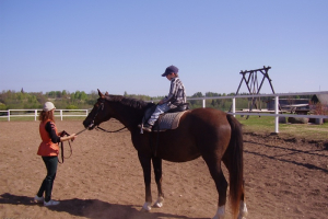 2006