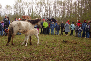 Projektu nedēļa - ekskursija, prezentācija (2007.gada aprīlis)_14