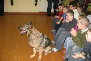 Dažādi foto no 2009. gada_19