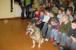 Dažādi foto no 2009. gada_20
