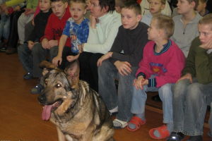 Dažādi foto no 2009. gada