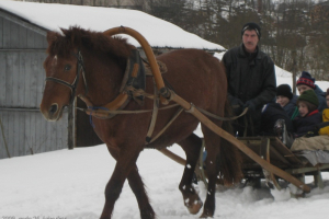 Meteņi (2009. gada februāris)_6