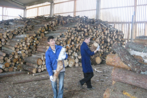 Apkārtnes uzkopšana 2010. gada 25. maijā_11
