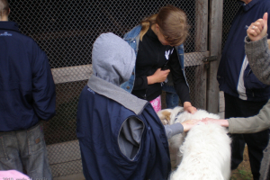 Ekskursija uz Audriņiem 2010. gada 24. maijā_16