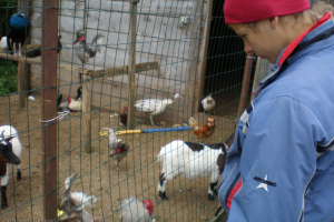 Ekskursija uz Audriņiem 2010. gada 24. maijā_19