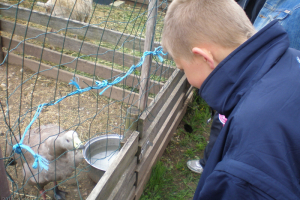 Ekskursija uz Audriņiem 2010. gada 24. maijā_24