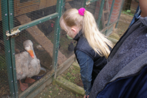 Ekskursija uz Audriņiem 2010. gada 24. maijā_25
