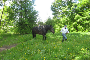 Ekskursija uz Riebiņiem 2010. gada 27. maijā_18