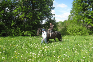 Ekskursija uz Riebiņiem 2010. gada 27. maijā_29