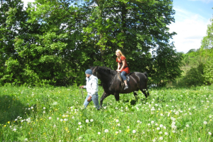 Ekskursija uz Riebiņiem 2010. gada 27. maijā_31