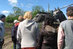 Ekskursija uz Riebiņiem 2010. gada 27. maijā_6