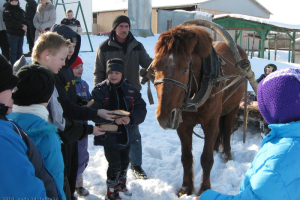 Meteņi 2010. gada februārī_111