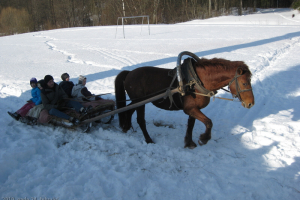 Meteņi 2010. gada februārī_113