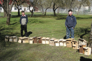 Projekts 