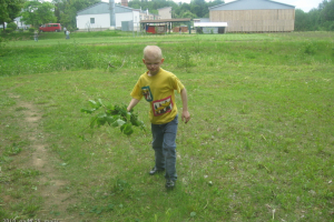 Projektu nedēļas noslēguma pasākums 2010. gada 28. maijā_80
