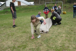 Sporta diena 2010. gada 6. maijā_115