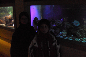 Ekskursija uz Zooloģisko dārzu 2011. gada novembrī_12