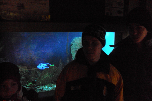  Ekskursija uz Zooloģisko dārzu 2011. gada novembrī_14