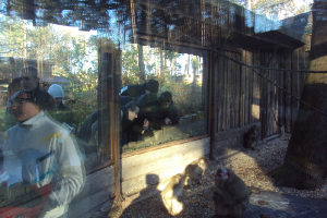  Ekskursija uz Zooloģisko dārzu 2011. gada novembrī_21