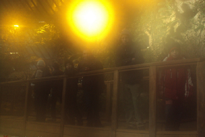  Ekskursija uz Zooloģisko dārzu 2011. gada novembrī_27