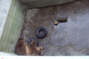  Ekskursija uz Zooloģisko dārzu 2011. gada novembrī_28