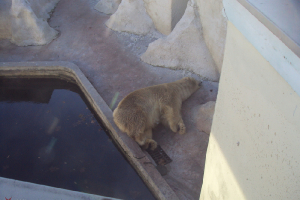  Ekskursija uz Zooloģisko dārzu 2011. gada novembrī_29