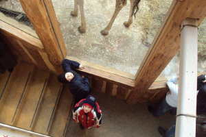  Ekskursija uz Zooloģisko dārzu 2011. gada novembrī_38
