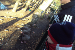  Ekskursija uz Zooloģisko dārzu 2011. gada novembrī_66