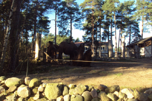  Ekskursija uz Zooloģisko dārzu 2011. gada novembrī_6