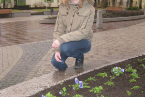  Ziemassvētku labdarības pasākums Ogrē 2011. gada 15. decembris_15