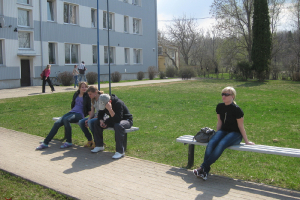  Dažādi foto no 2011. gada_6