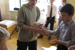 Mācību gada noslēguma atskaites pasākums 2011. gada 26. maijā_20
