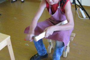 Profesiju prezentācija 2011. gada 31. maijā_9