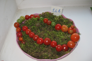 Ražas svētki 2011. gada 29. septembrī_3
