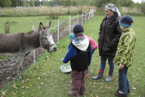 3.B klases ekskursija uz minizoodārzu 