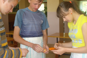 Pavāra palīga profesijas prezentācija 15. maijā_3