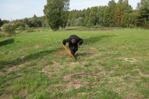 Sporta diena 18. septembrī_1