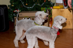 Viesi no Valsts robežsardzes koledžas 16. decembrī_57