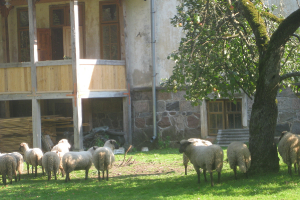Arendoles muižas parkā 18. septembrī_48