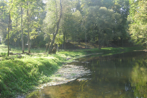 Arendoles muižas parkā 18. septembrī_51