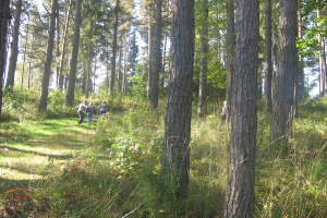 Arendoles muižas parkā 18. septembrī_83