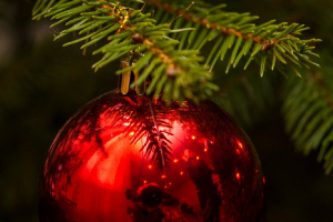  Ziemassvētku tikšanās ar viesiem no VRK 2015. gada 17. decembrī_1