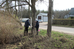 Lielā apkārtnes uzkopšanas talka 23. aprīlī_240