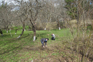 Lielā apkārtnes uzkopšanas talka 23. aprīlī_269