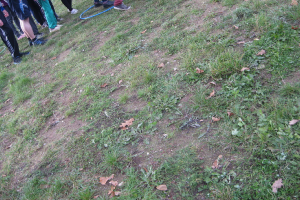 Sporta diena 8. oktobrī_33