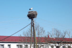 Dažādi pasākumi sk. L. Pavlovas fotogalerijā II_78