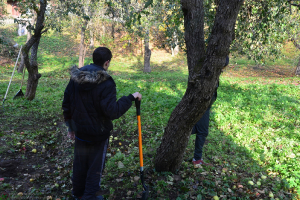Rudens darbi 20. oktobrī_19
