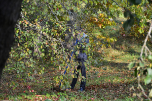 Rudens darbi 20. oktobrī_20