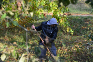 Rudens darbi 20. oktobrī_21