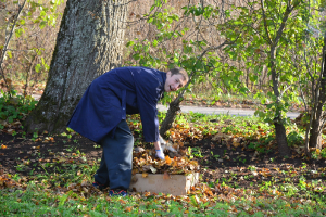 Rudens darbi 20. oktobrī_24